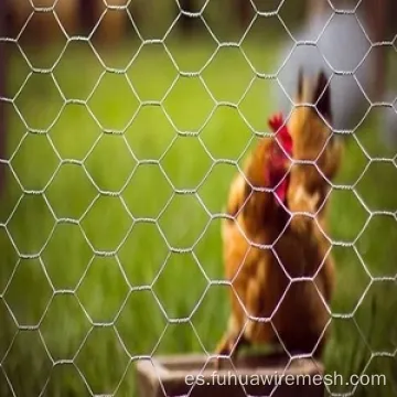 Jardín de casas pollo hexagonal alambre de alambre valla